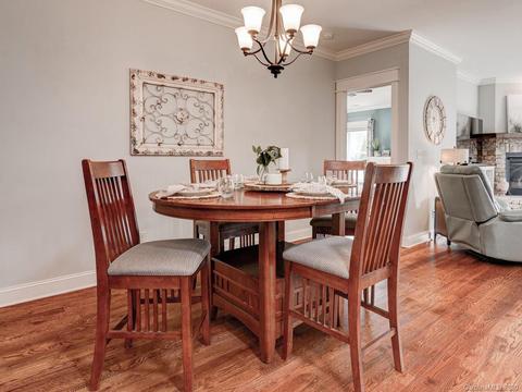 20 Stills Creek Loop, Fairview, NC 28730 photo 13