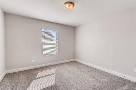 1409 Varadin Ln, Monroe, NC 28110 photo 16