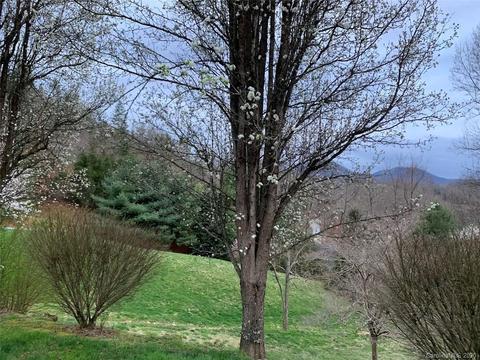 150 Mule Pen Rd, Sylva, NC 28779 photo 14