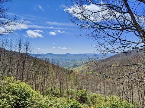 460 Fairview Forest Dr, Fairview, NC 28730 photo 38