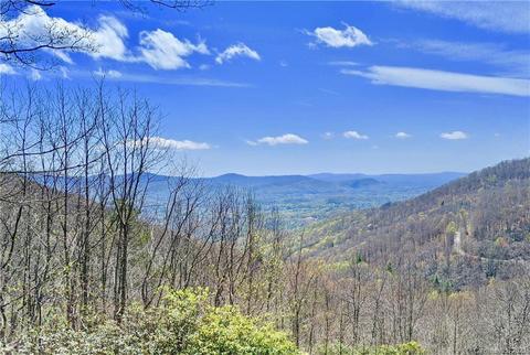 460 Fairview Forest Dr, Fairview, NC 28730 photo 40