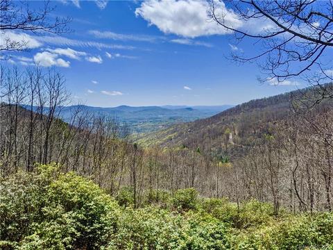 460 Fairview Forest Dr, Fairview, NC 28730 photo 2