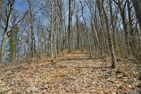 79 Hickory Forest Ln, Fairview, NC 28730 photo 8