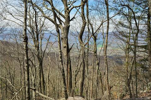79 Hickory Forest Ln, Fairview, NC 28730 photo 11