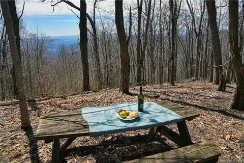 79 Hickory Forest Ln, Fairview, NC 28730 photo 2