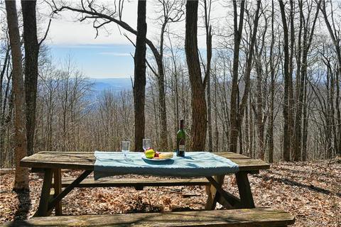 79 Hickory Forest Ln, Fairview, NC 28730 photo 1