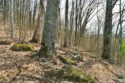 79 Hickory Forest Ln, Fairview, NC 28730 photo 13