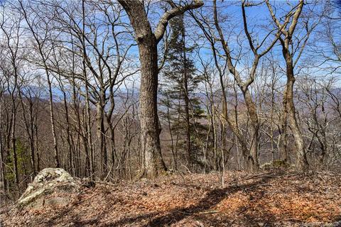 79 Hickory Forest Ln, Fairview, NC 28730 photo 9