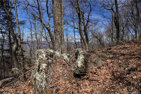 79 Hickory Forest Ln, Fairview, NC 28730 photo 10