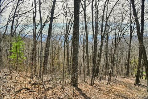 79 Hickory Forest Ln, Fairview, NC 28730 photo 12