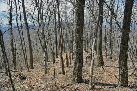 79 Hickory Forest Ln, Fairview, NC 28730 photo 24