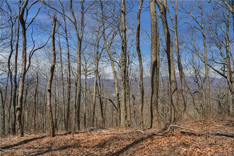 79 Hickory Forest Ln, Fairview, NC 28730 photo 4