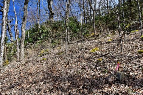 79 Hickory Forest Ln, Fairview, NC 28730 photo 22