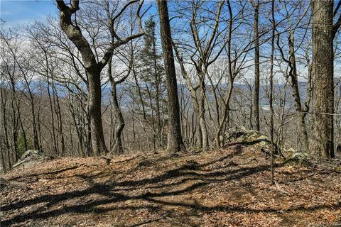79 Hickory Forest Ln, Fairview, NC 28730 photo 5