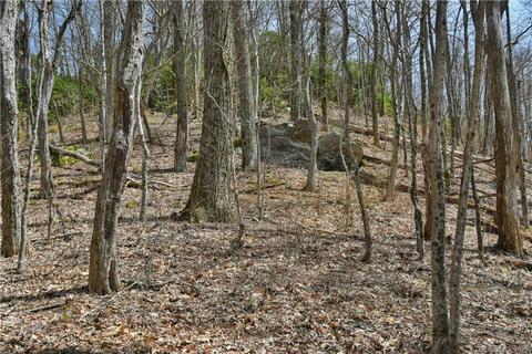 79 Hickory Forest Ln, Fairview, NC 28730 photo 18