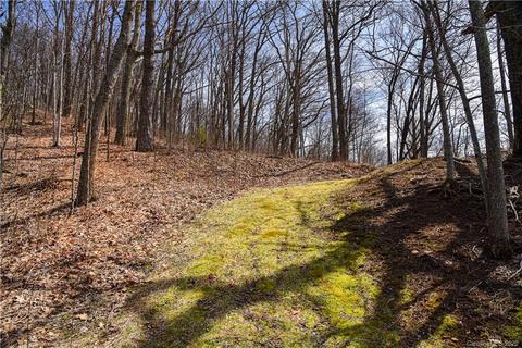 79 Hickory Forest Ln, Fairview, NC 28730 photo 7