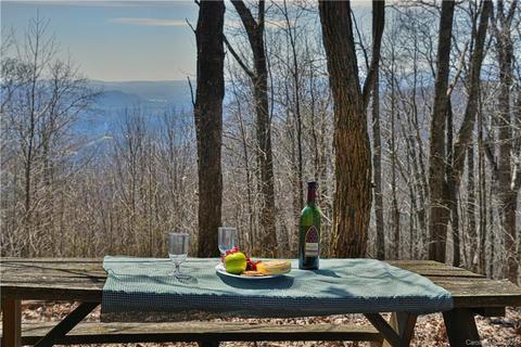 79 Hickory Forest Ln, Fairview, NC 28730 photo 17