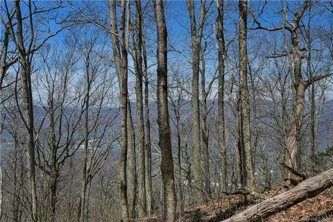79 Hickory Forest Ln, Fairview, NC 28730 photo 21