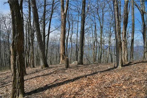 79 Hickory Forest Ln, Fairview, NC 28730 photo 16