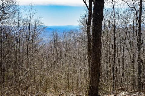 79 Hickory Forest Ln, Fairview, NC 28730 photo 15