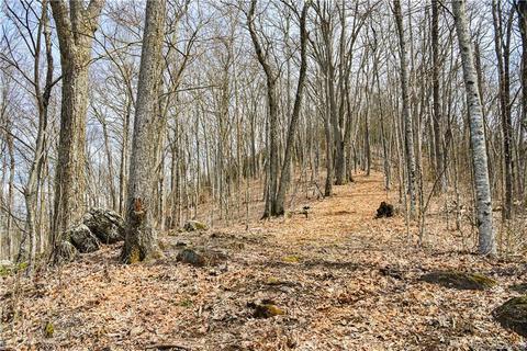 79 Hickory Forest Ln, Fairview, NC 28730 photo 14
