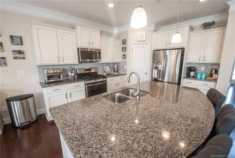 11088 Hat Creek Ln, Davidson, NC 28036 photo 8