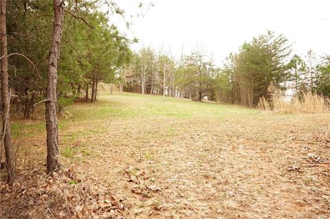 1054 Golden Rd, Tryon, NC 28782 photo 17