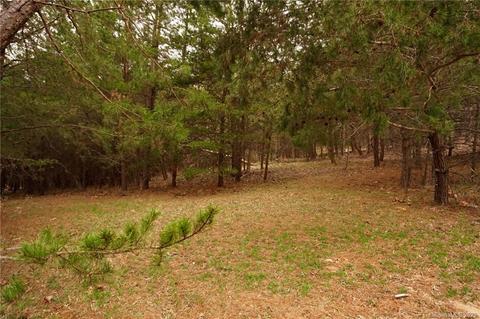 1054 Golden Rd, Tryon, NC 28782 photo 22