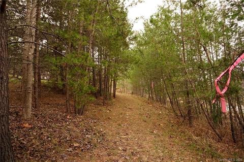 1054 Golden Rd, Tryon, NC 28782 photo 20