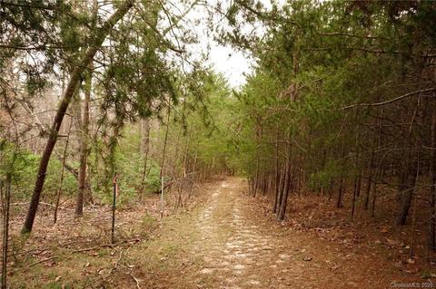 1054 Golden Rd, Tryon, NC 28782 photo 21