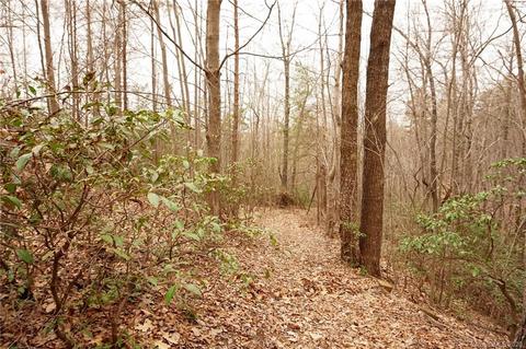 1054 Golden Rd, Tryon, NC 28782 photo 19