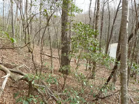 0 Spring Rd, Rosman, NC 28772 photo 18