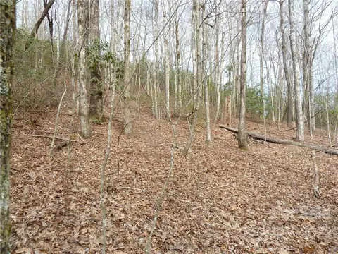 0 Spring Rd, Rosman, NC 28772 photo 17