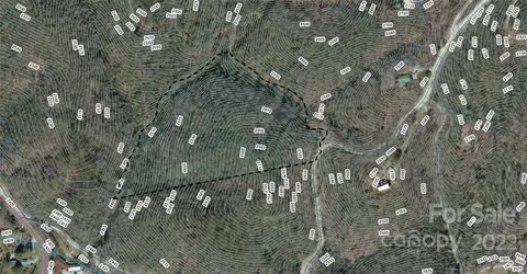 0 Spring Rd, Rosman, NC 28772 photo 33