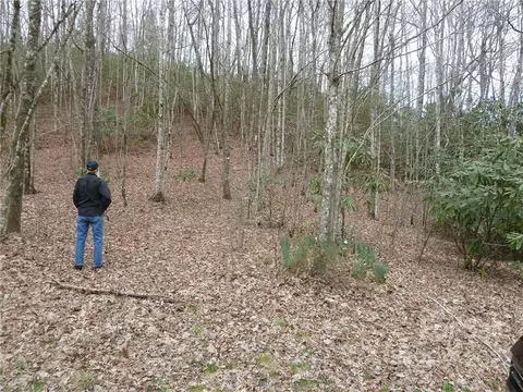 0 Spring Rd, Rosman, NC 28772 photo 7