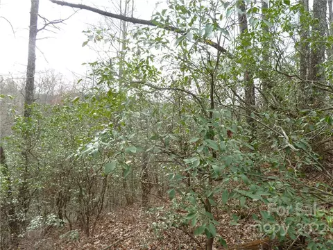 0 Spring Rd, Rosman, NC 28772 photo 25