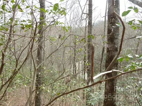 0 Spring Rd, Rosman, NC 28772 photo 21