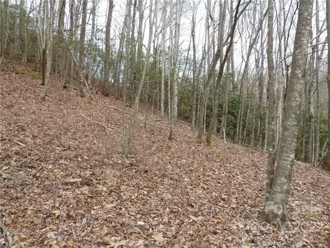 0 Spring Rd, Rosman, NC 28772 photo 27