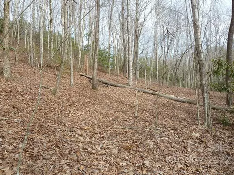 0 Spring Rd, Rosman, NC 28772 photo 6