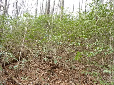 0 Spring Rd, Rosman, NC 28772 photo 22
