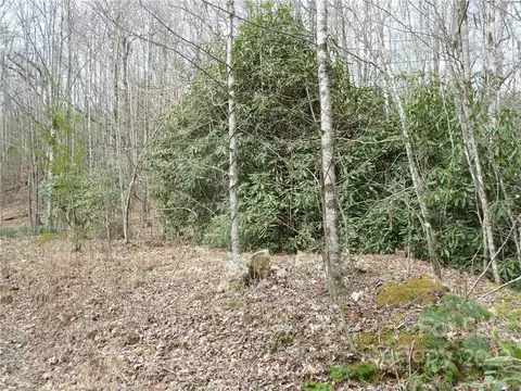 0 Spring Rd, Rosman, NC 28772 photo 10