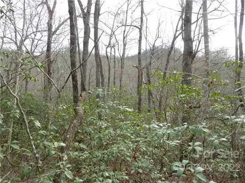 0 Spring Rd, Rosman, NC 28772 photo 24