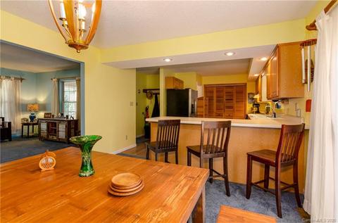 125 Sunkist Rd, Brevard, NC 28712 photo 7