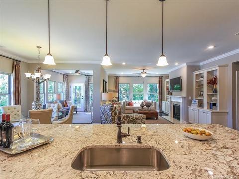 1020 Ellington Downs Way, Monroe, NC 28110 photo 19