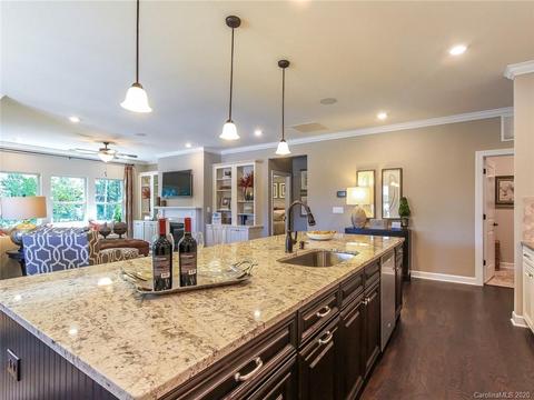 1020 Ellington Downs Way, Monroe, NC 28110 photo 18