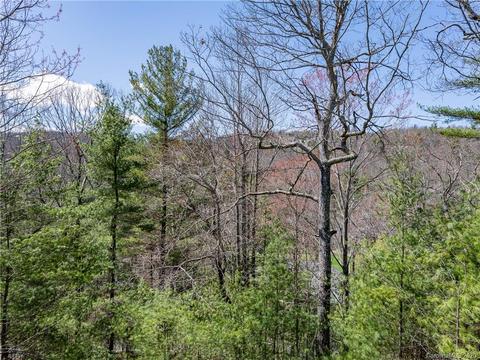 124 Forest View Dr, Flat Rock, NC 28731 photo 28