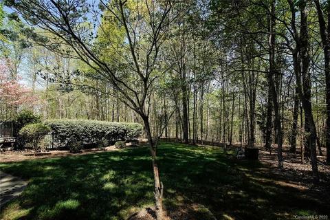 11300 Olde Cedar Ct, Davidson, NC 28036 photo 43