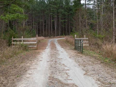 195 Pine Needle Ln, Bostic, NC 28018 photo 27