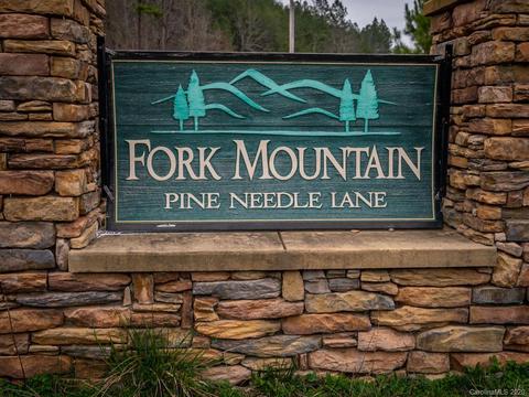 195 Pine Needle Ln, Bostic, NC 28018 photo 34