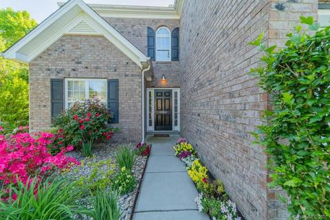 10862 Store House Ct, Davidson, NC 28036 photo 9